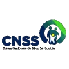 CNSS女篮队徽