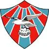 瓦鲁尔女篮队徽