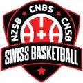 CNBS队徽