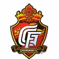 庆南FC队徽