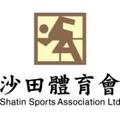 沙田队徽