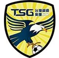 南市台钢队徽