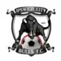 伊普斯维奇FC U23队徽