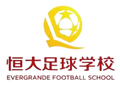 恒大足校U15队徽
