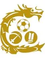 九龙城U22队徽