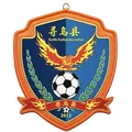 寻乌队队徽